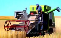 Consulting for Industrial Hemp projects in NYS by Industrial Hemp NY