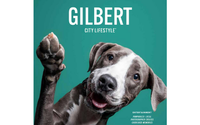 Gilbert City Lifestyle Community Partner by Gilbert City Lifestyle  