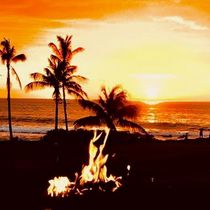 Negotiation Services by Coldwell Banker Island Properties