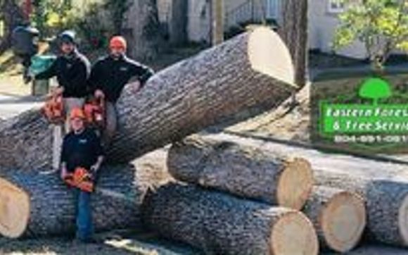 Tree Trimming, Tree Removal by Eastern Forestry & Tree Service, Inc.