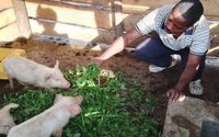 Promoting Food Security through sustainable agriculture by Kayonza Global Network