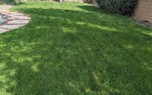 Sod installation  by Priddy Irrigation and Landscaping