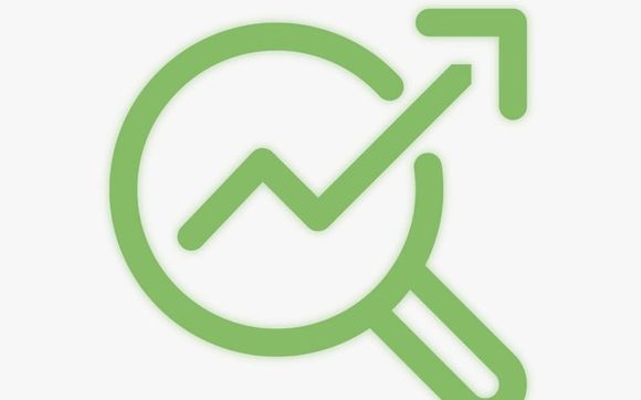 SEO (Search Engine Optimization) by Performance MAX Agency