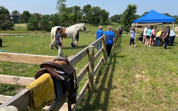 Equine Therapeutic Services by Gateway Meadows Equine-Assisted Services