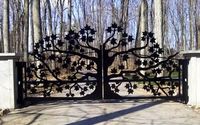 Dual Swing Oak Tree Main Driveway Gate by TAIMCO Inc.