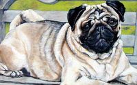Custom painted pet portraits by Paintedpetportraits.com