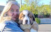 Private Pet Transportation by Paws Across America Transport Services LLC