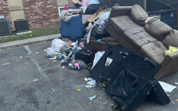 Fall Cleanup by JDog Junk Removal