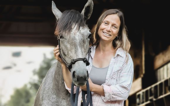 Equine Gestalt Coaching by Wildfire Dreams