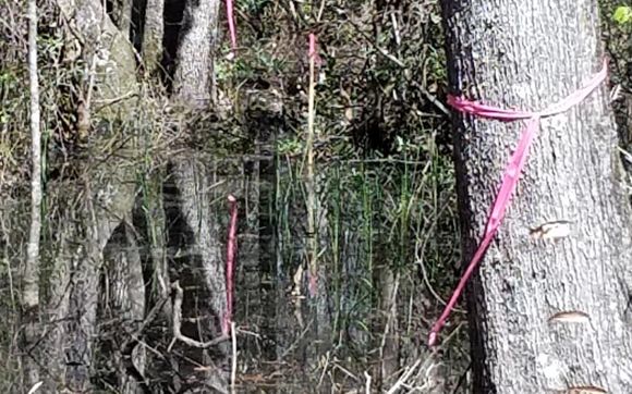 Property Boundary Measurement by Delta Land Surveyors LLC