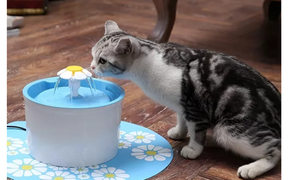 Cat and Dog Water Fountain  by LaDoya Michan Jenkins, LLC