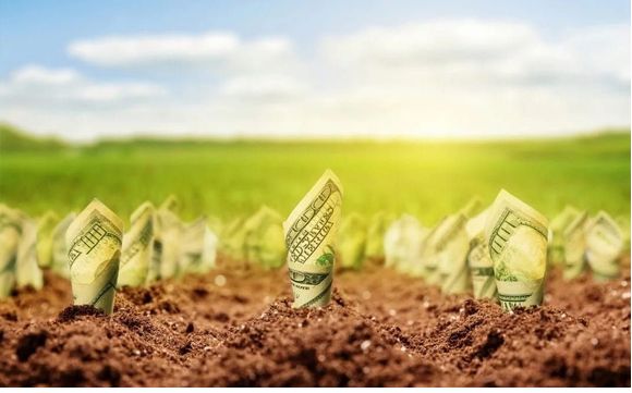 Land Banking Opportunities by  Land Specialists - Velur Real Estate Services, Inc