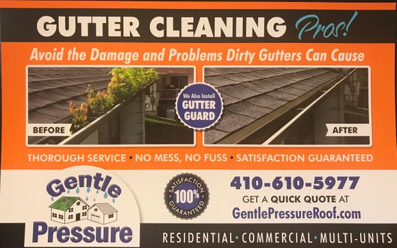 Gutter Cleaning