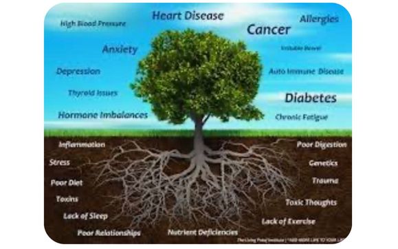 Consultations by Life in Balance Integrated Health PLLC,