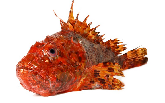 Delivery by OCEAN SEAFOOD DEPOT INC