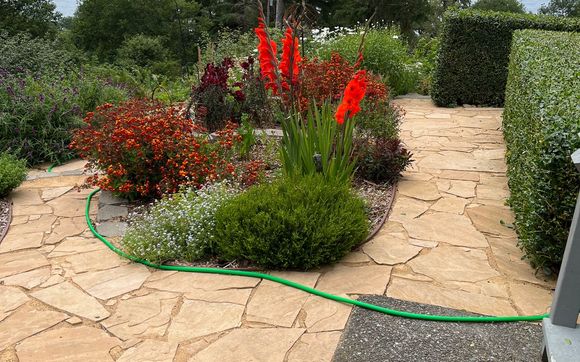 Flagstone installation by Sempervirens Gardening