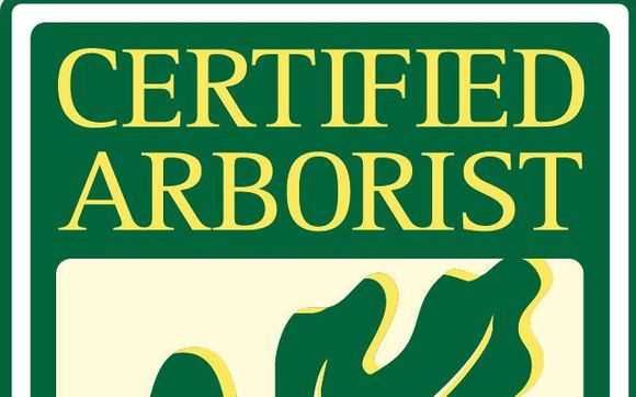 Arborist by Pelton Tree Care llc