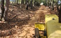 Gravel Road Grading and Install by Green Man Land Management, llc