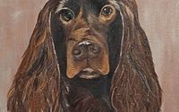 Fine Art by C.A. Starr Studios