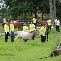 Team Building / Company Events by Seaton Hackney Stables