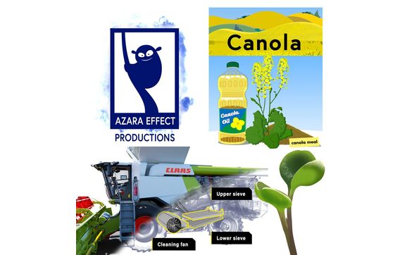 Animation, video production, illustration  by Azara Effect Productions
