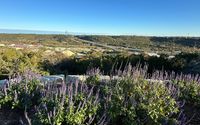 Land Real Estate by JWang Properties  by JWang Properties
