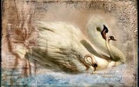 Fine Art Composite, Fantasy & Illustration Photography by Peggy Rushing Photography