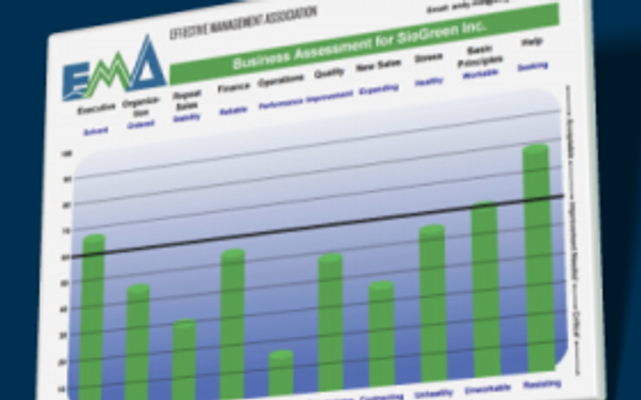 Free Online Business Analysis - DISCOVER THE BLOCKS TO INCREASING PROFIT by Skin In The Game Business Coaches