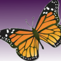Business IT Solutions by New Creature Computers