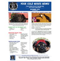 Done-for-You K9 Newsletters by If Dogs are Your Business, We Want to Write for You!