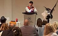 Public Presentations  by Prestigious Pelletier Productions