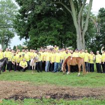 Corporate events using horses  by Seaton Hackney Stables