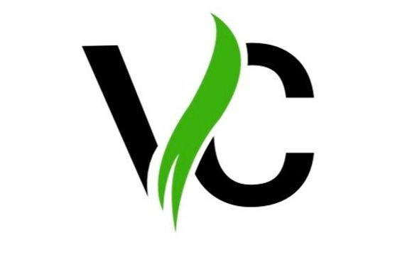 Premarital Counseling for Couples by Virtual-Counseling.com