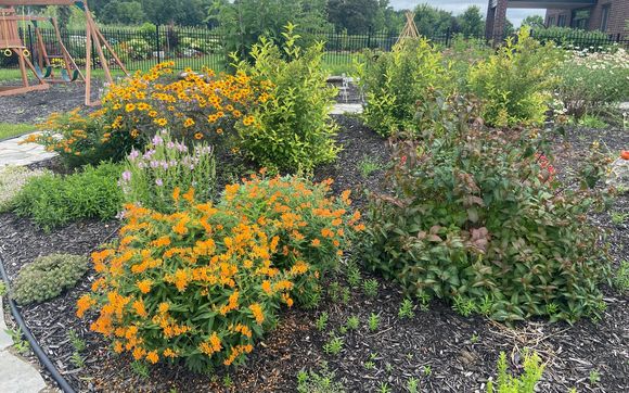 Landscape Design by Eco-vision gardens
