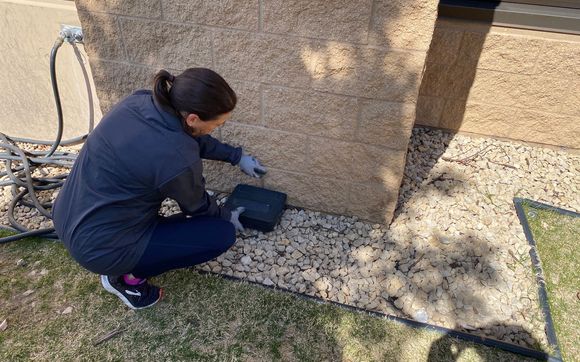 Commercial Services  by Rove Pest Control