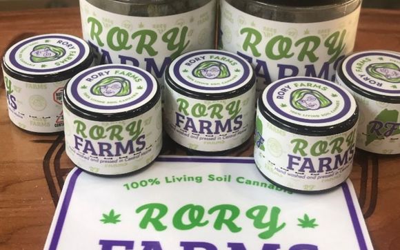 Organic No-till Living Soil Cannabis and hash rosin  by Rory Farms