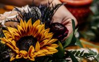 Wedding planning, coordinator, celebration styling by Fineline Events