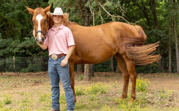 Equine Photography  by Ollian's Photography