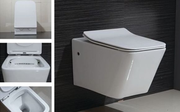 Toilets by Bath Trends- The Falls