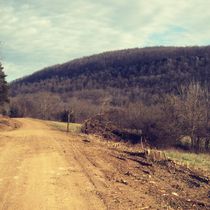 Want to buy or sell property in Madison, Newton, or Carroll counties??  by Wild Ozark