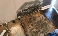 Mold Remediation by Guardian Angel Restoration