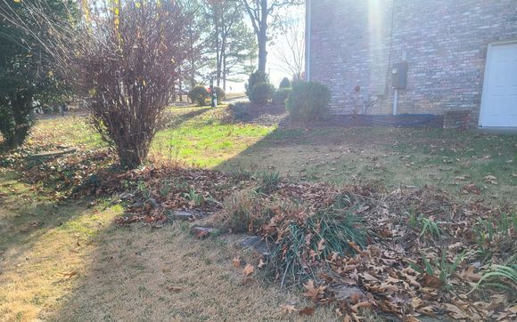 Winter Pruning!  by The Blonde Dahlia