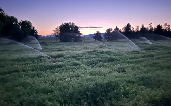 Large Irrigation by Quality Irrigation Solutions