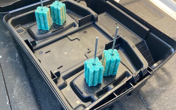 Rodent Control by Buzz Boss Mosquito & Pest