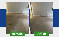 Carpet Cleaning  by ADM Cleaning Maintenance Services Inc