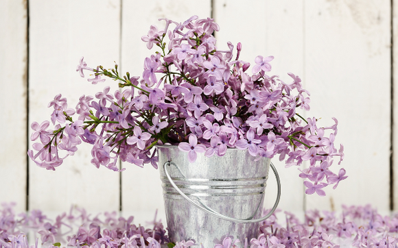 Editing by Faithful Pen Content Services LLC