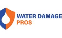 Mold Remediation by The Water Damage Pros Tampa FL