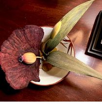 Lovely Leaf w/Shelf Mushroom Arrangement by Interior Dimensions and Design, LLC