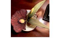 Lovely Leaf w/Shelf Mushroom Arrangement by Interior Dimensions and Design, LLC
