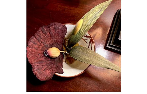 Lovely Leaf w/Shelf Mushroom Arrangement by Interior Dimensions and Design, LLC